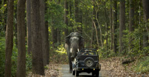 Best 25 Places To Visit In Ramnagar : Ramnagar Attractions You Can’t Miss